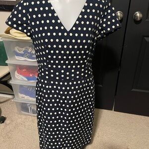 Banana Republic Navy Polka Dot Midi Dress